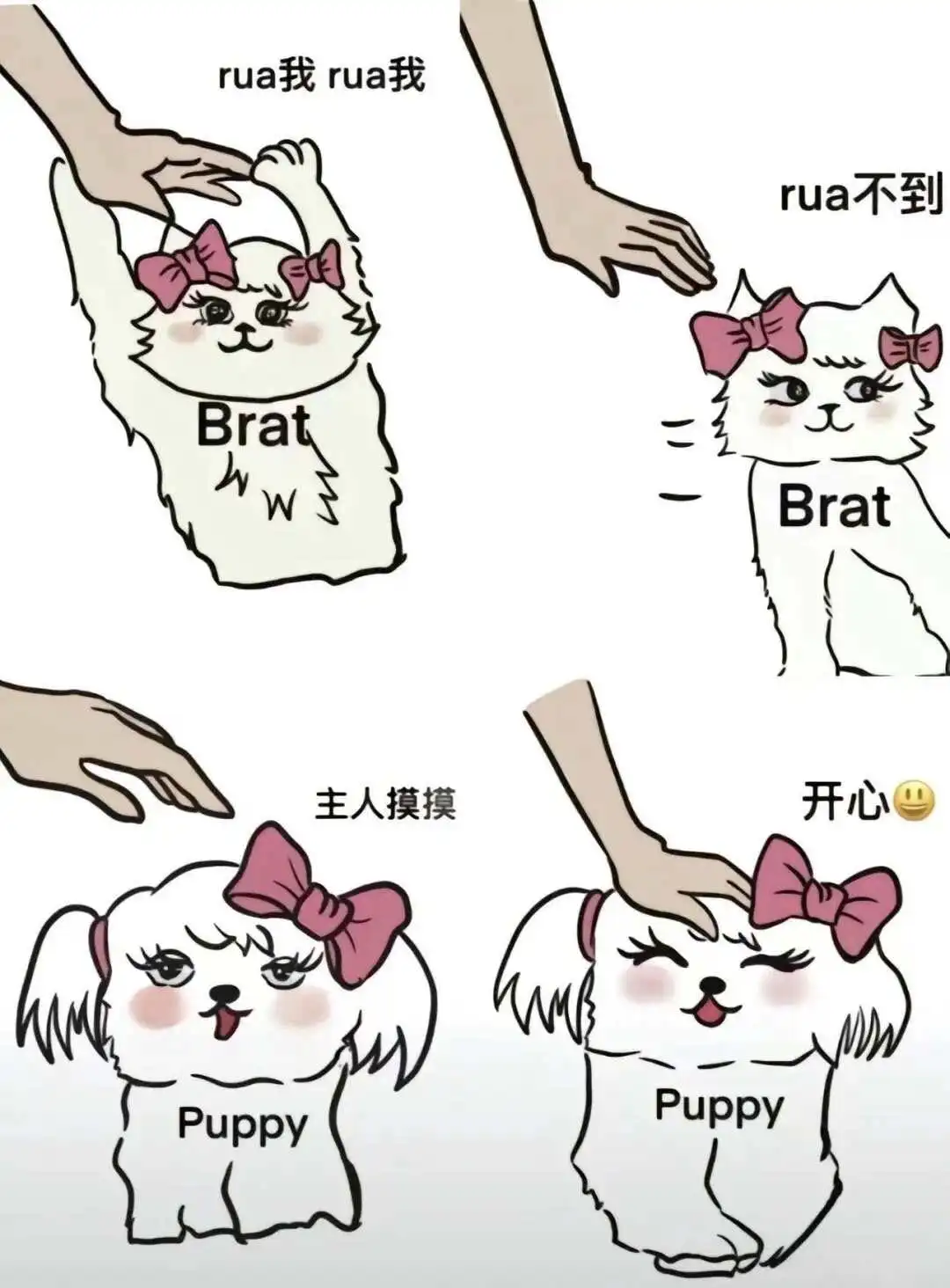 【西檬之家】BDSM猫系K8是什么？字母圈新人入圈指南