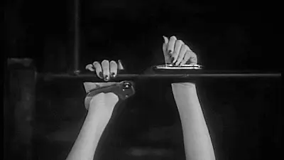 西檬之家-字母圈的DDlg是什么？你的字母圈属性是什么？