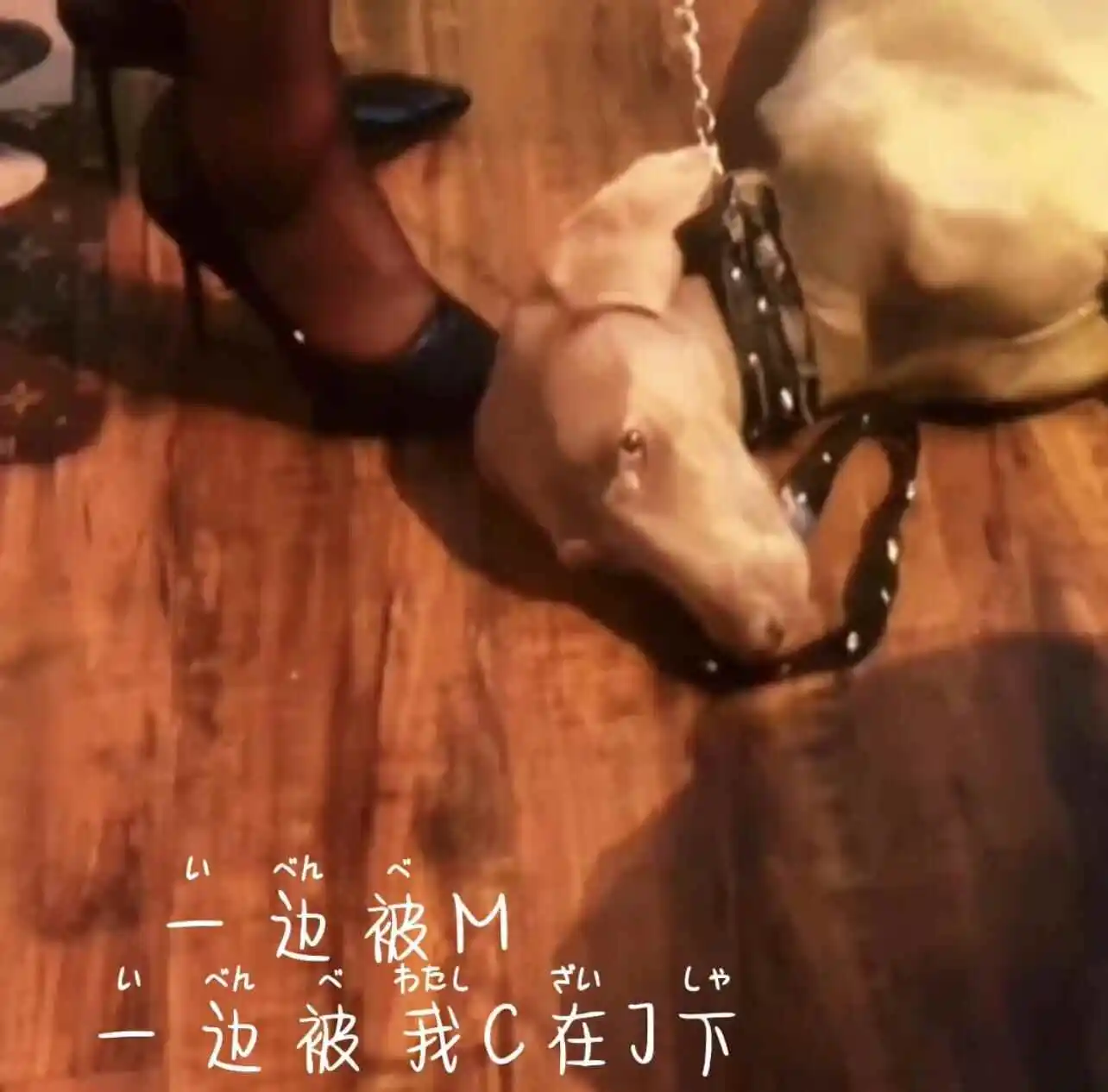 【西檬之家】字母圈新人入圈指南，掌握BDSM核心词汇与实践原则