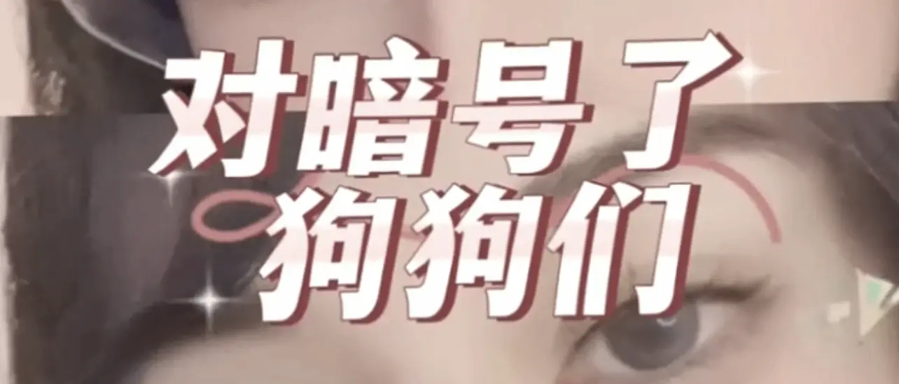 【西檬之家】k9犬系是什么意思？字母圈新人BDSM指南