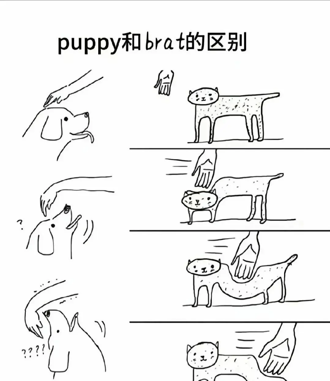 西檬之家-BDSM核心术语解析与PE权力交换实践指南