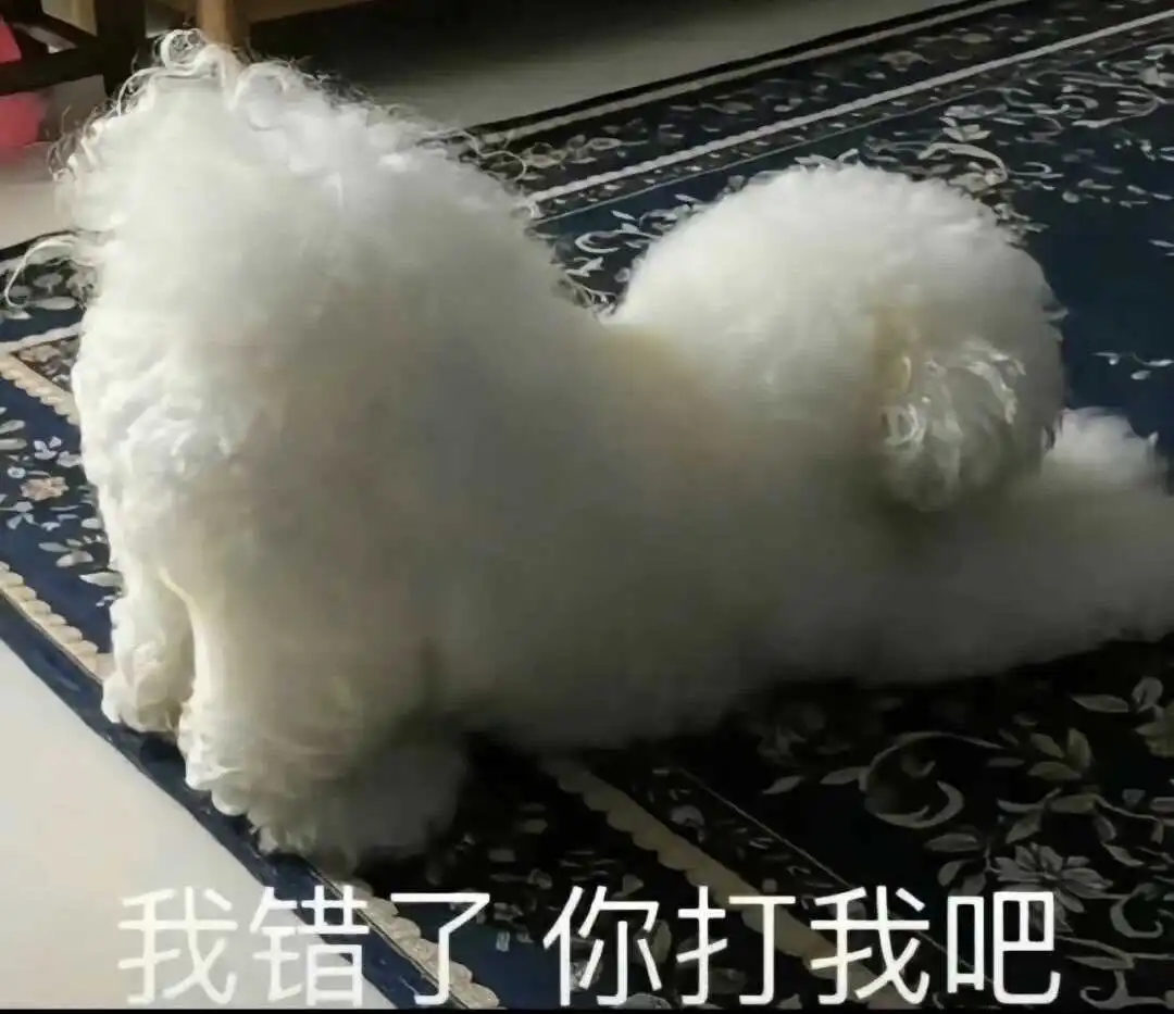 西檬之家-字母圈初学者的BDSM知识全解析