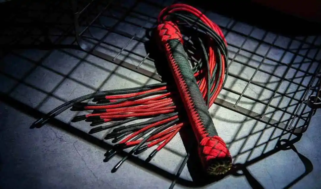 【西檬之家】字母圈新人入门：S属性与BDSM基础指南