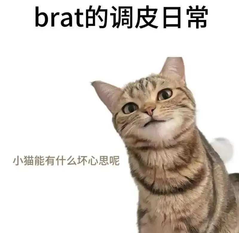 【西檬之家】字母圈TK入门：BDSM中的挠痒痒安全指南