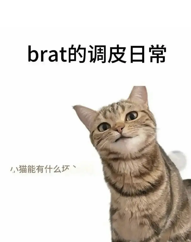 西檬之家-PE是什么？字母圈中的权力交换实践指南
